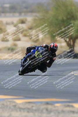 media/May-14-2023-SoCal Trackdays (Sun) [[024eb53b40]]/Turn 5 Tree of Life (1125am)/